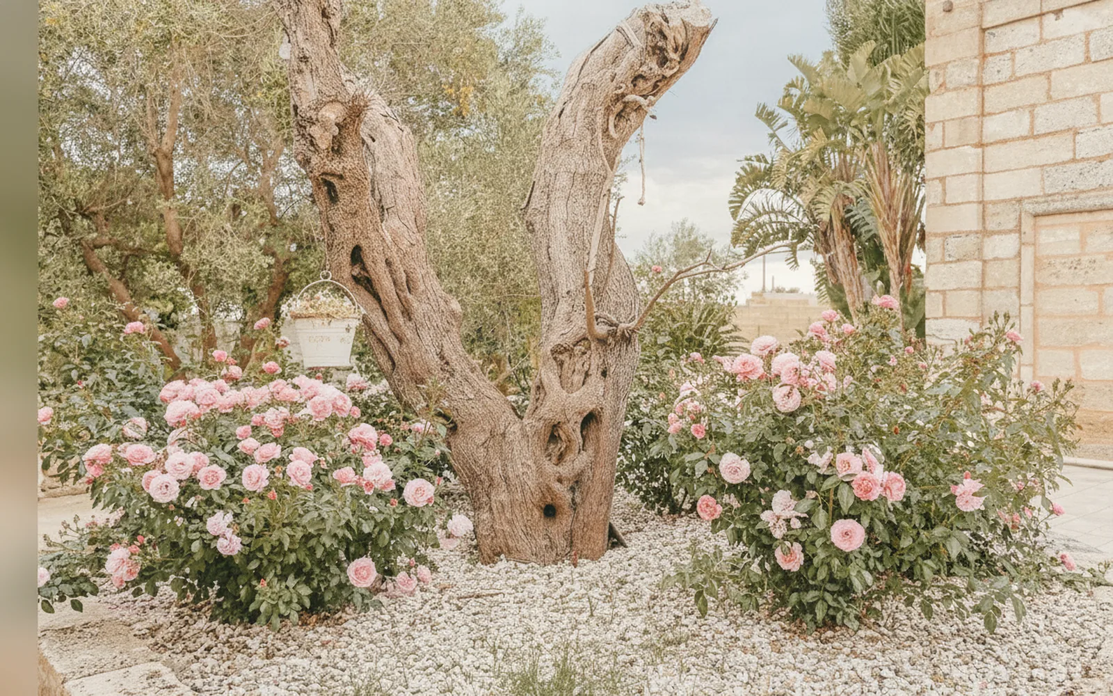 Giardino di Treviè Suite - Torre San Giovanni, Torre San Giovanni (Puglia) (foto 19)
